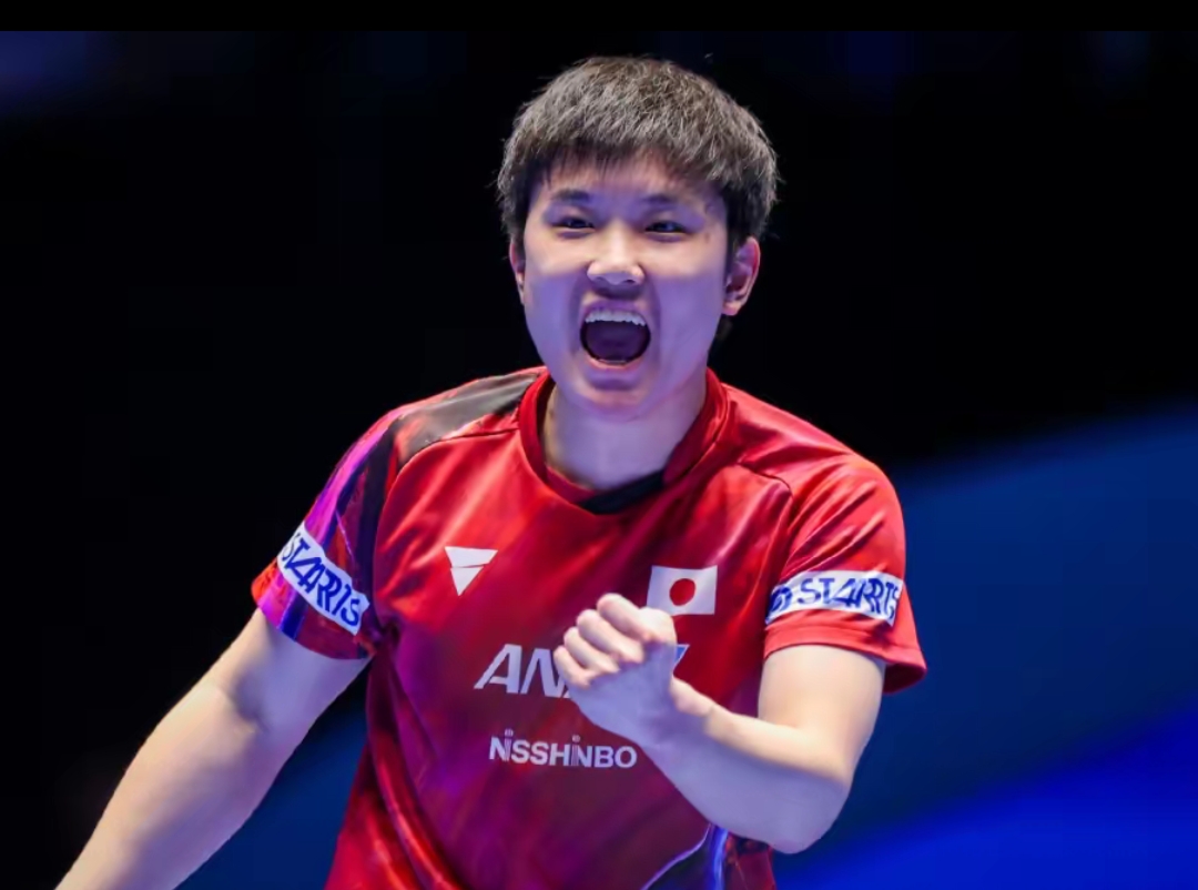 数量优势 数量优势